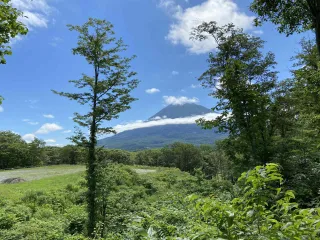 Hirafu Estate_Yotei View